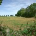 Looking north from the green