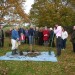 Tree planting
