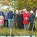 Tree planting
